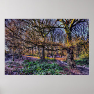 Poster Floresta Encantada 1