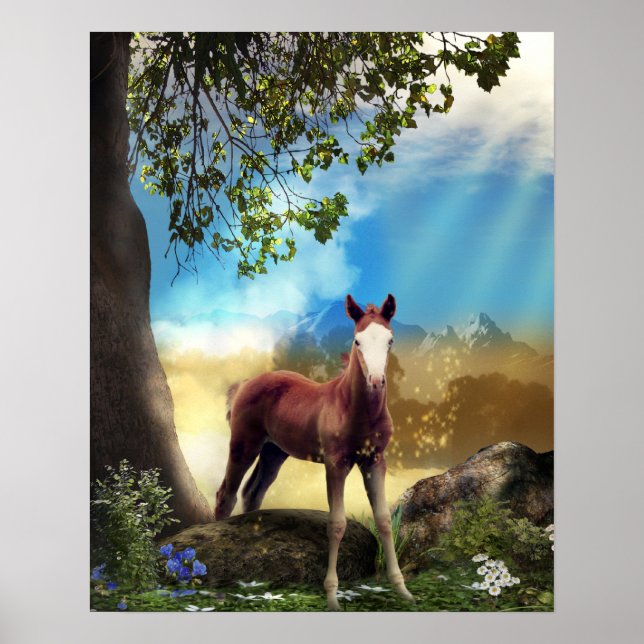 Poster FLORESTA ENCANTADA PELO Cavalo do Fogo (Frente)