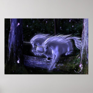 Poster Floresta Enchanted