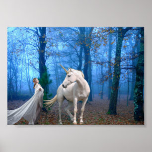 Pôster Floresta enevoada