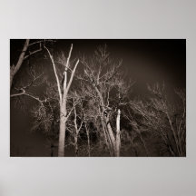 Floresta Escura – Arte Assustadora de Árvore em Pr
