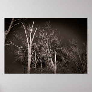 Poster Floresta Escura – Arte Assustadora de Árvore em Pr