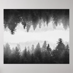 Poster Floresta espelhada de nevoeiro negro e branco