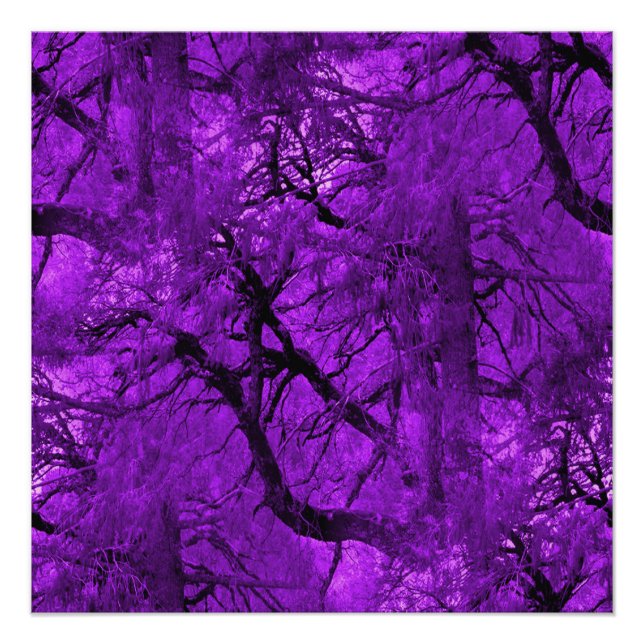 Pôster Floresta Fantástica... (Frente)