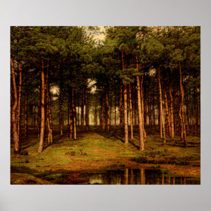 Poster Floresta Fir em Putte com os coelhos Jean Lamorini