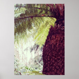 Poster Floresta Florestal