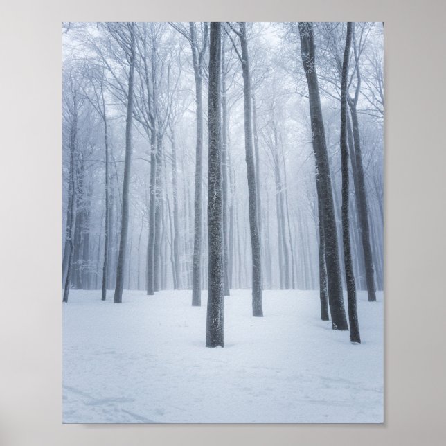 Poster Floresta invernal nebulosa e congelada (Frente)