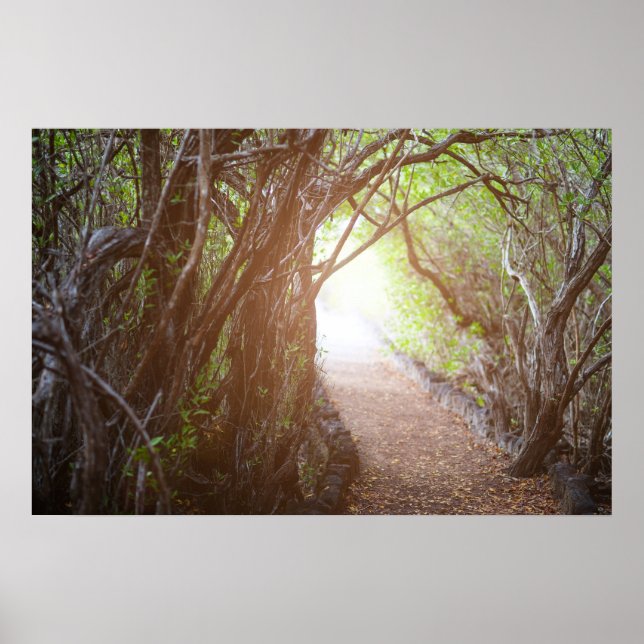 Pôster Floresta mágica da manhã (Frente)