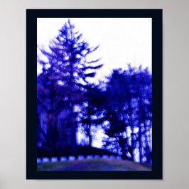 Pôster Floresta Misteriosa