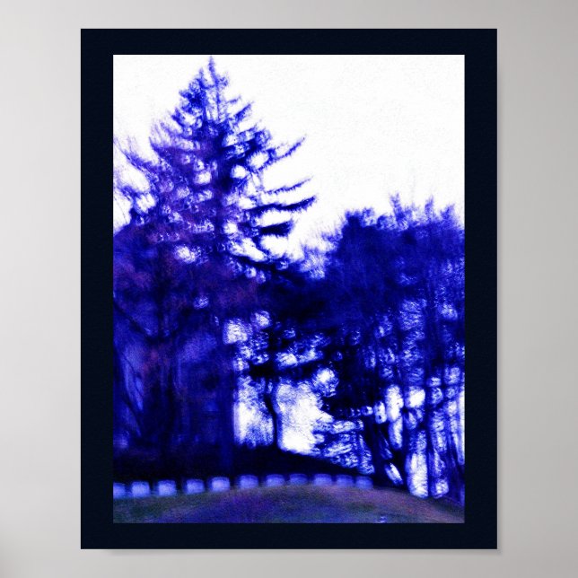 Pôster Floresta Misteriosa (Frente)