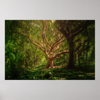Poster Floresta Mística