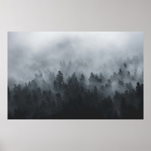 POSTER FLORESTA MISTY