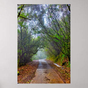 Poster Floresta Musgosa