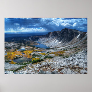 Pôster Floresta Nacional Arco de Medicina