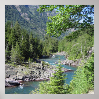 Poster Floresta Nacional Atatenta