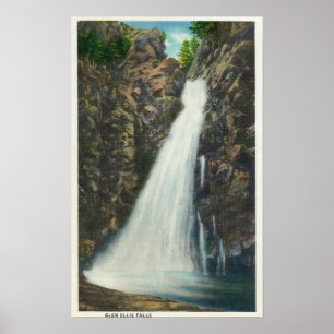 Pôster Floresta nacional das montanhas brancas