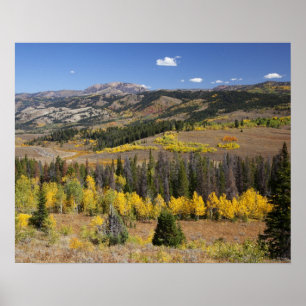 Pôster Floresta Nacional de Bridger-Teton