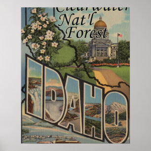 Pôster Floresta nacional de Clearwater, Idaho
