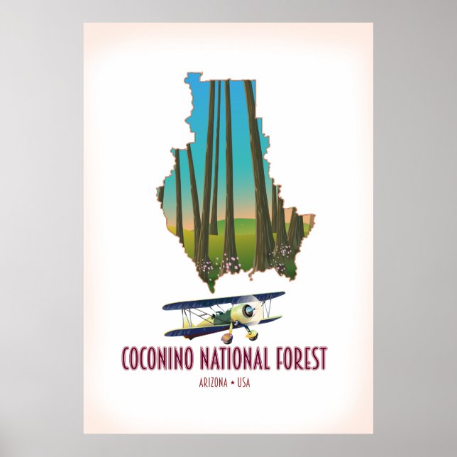Poster Floresta Nacional de Coconino Arizona EUA mapa (Frente)