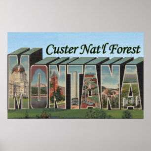 Poster Floresta nacional de Custer, Montana
