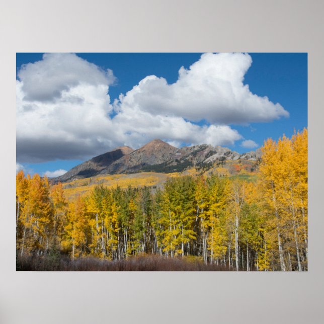 Poster Floresta Nacional de Gunnison, Colorado (Frente)