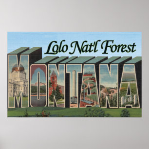 Pôster Floresta nacional de Lolo, Montana