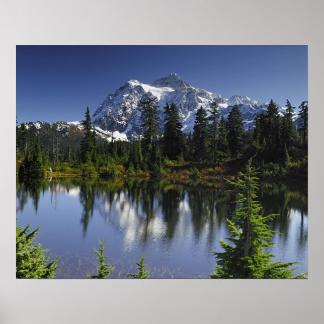 Poster Floresta Nacional Mount Baker-Snoqualmie (Frente)