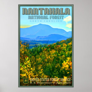 Poster Floresta Nacional Nantahala Nova Viagem Original