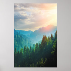 Poster Floresta nas dolomites, Italia do pinho