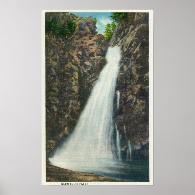 Pôster Floresta Nat, Montanhas Brancas (Frente)