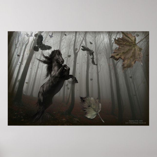 Poster Floresta Negra (Frente)