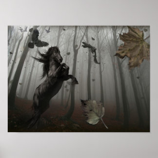 Poster Floresta Negra