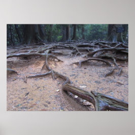 Poster Floresta no Monte Kurama