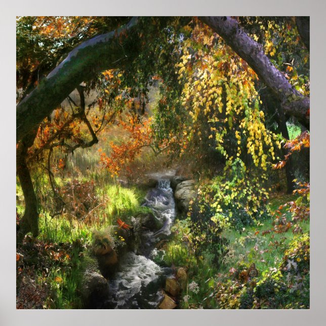 POSTER FLORESTA PEQUENO RIO MÉDIO (Frente)