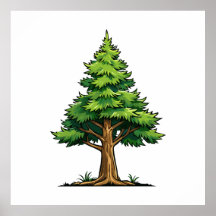 Floresta perene