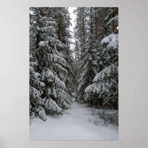 Poster Floresta Perene Nevada Personalizada