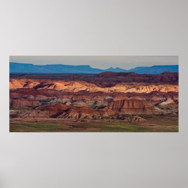 Poster Floresta Petrificada Vista (Frente)