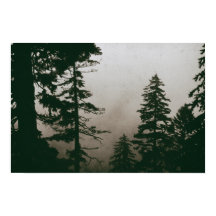 Floresta Pinheira-Árvore Vintagem Natureza Pinheir