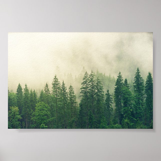 Poster Floresta poster, floresta grande (Frente)