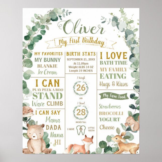 Poster Floresta Primeiro Aniversário Estatísticas de Nasc (Frente)