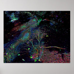 Poster Floresta Psicodélica...