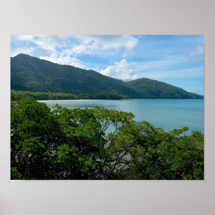 Poster Floresta Rainha Daintree em Cape Tribulation