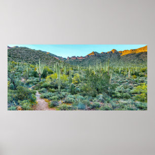 Poster Floresta Saguaro Cactus no Deserto de Arizona