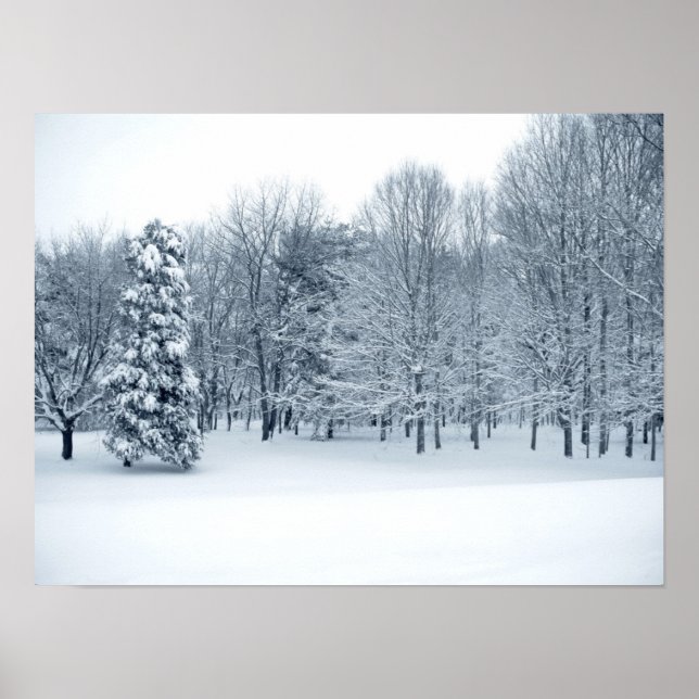 Pôster Floresta Silenciosa (Frente)