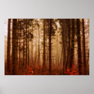 Pôster Floresta snowless do inverno nevoento vermelho