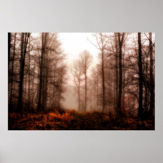 Poster Floresta snowless do inverno nevoento vermelho