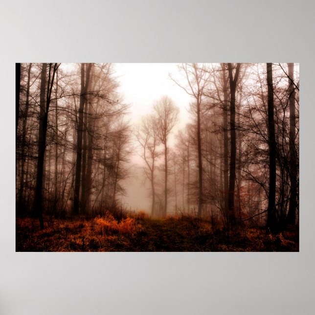 Poster Floresta snowless do inverno nevoento vermelho (Frente)