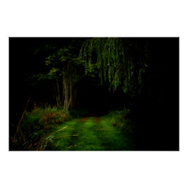 Pôster Floresta Spooky