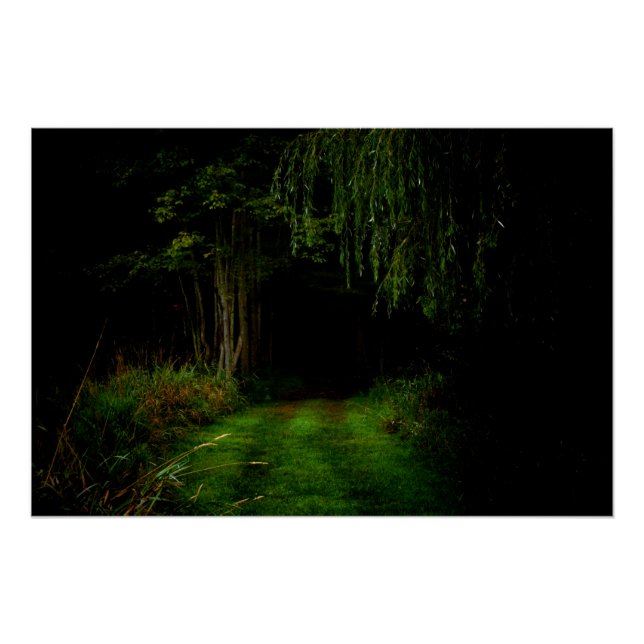 Pôster Floresta Spooky (Frente)