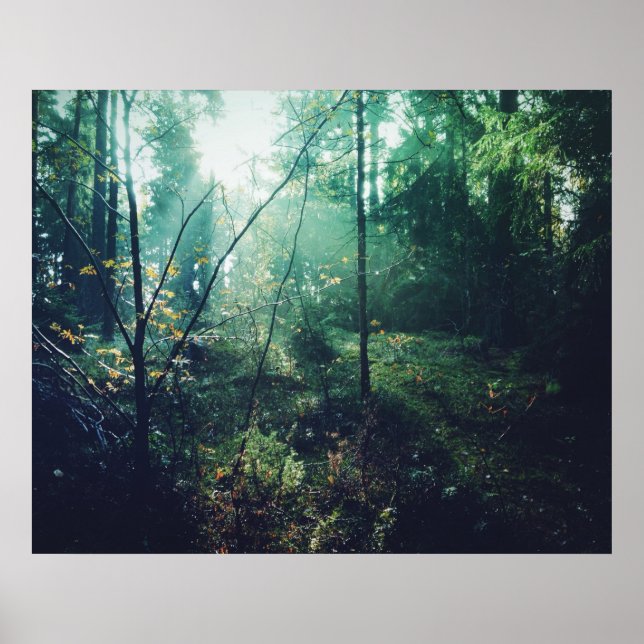 Pôster Floresta Sueca (Frente)